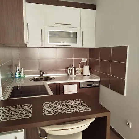 Pivasevic Apartmán *
