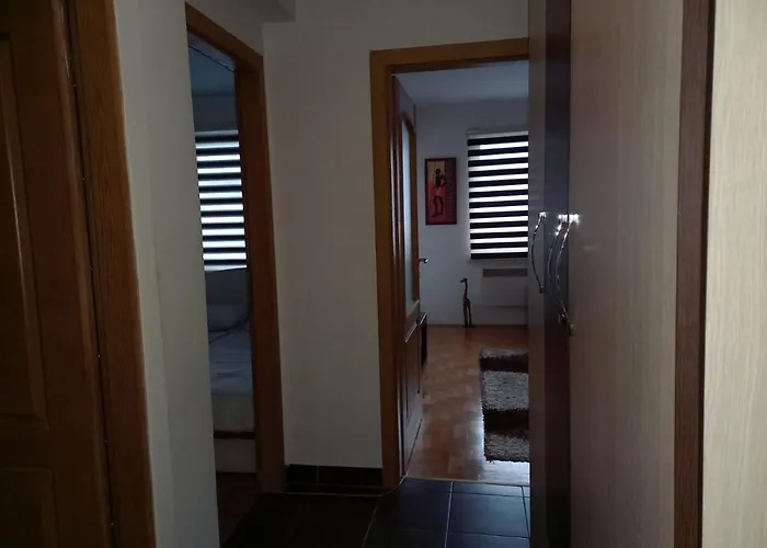 Pivasevic * Saraievo